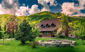 Poiana - Apuseni Mountains