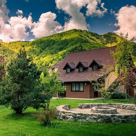 Poiana - Apuseni Mountains Villa Vasaskőfalva Kültér fotó