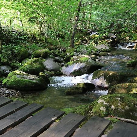 Poiana - Apuseni Mountains Villa Vasaskőfalva Kültér fotó