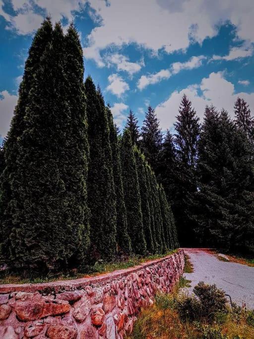 Poiana - Apuseni Mountains Villa Vasaskőfalva Kültér fotó