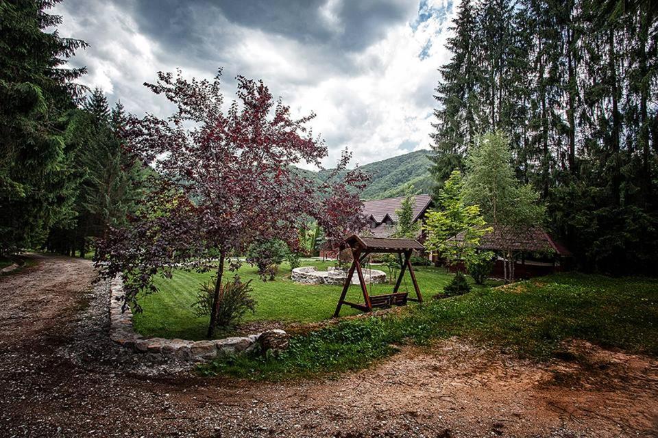 Poiana - Apuseni Mountains Villa Vasaskőfalva Kültér fotó