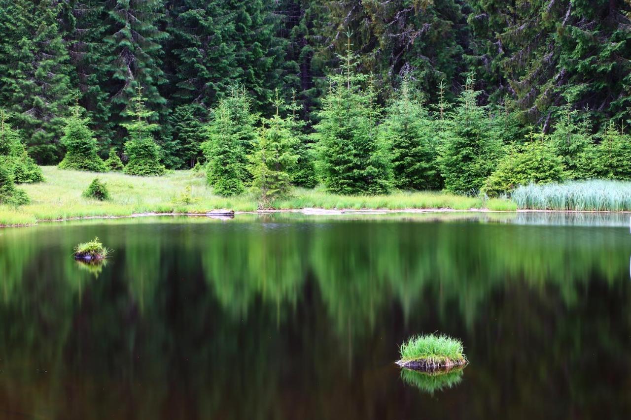 Poiana - Apuseni Mountains Villa Vasaskőfalva Kültér fotó